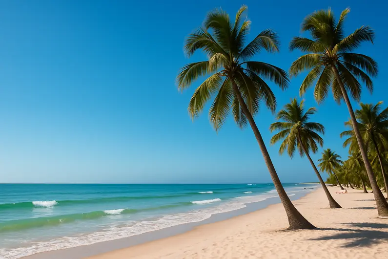 Descubra as Belezas da Praia de Boa Viagem